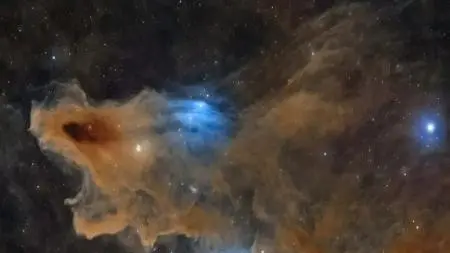 Tubarão, a 650 anos-luz, ganhou prêmio de melhor foto astronômica. É incrível ver o quanto a tecnologia nos permite cap…