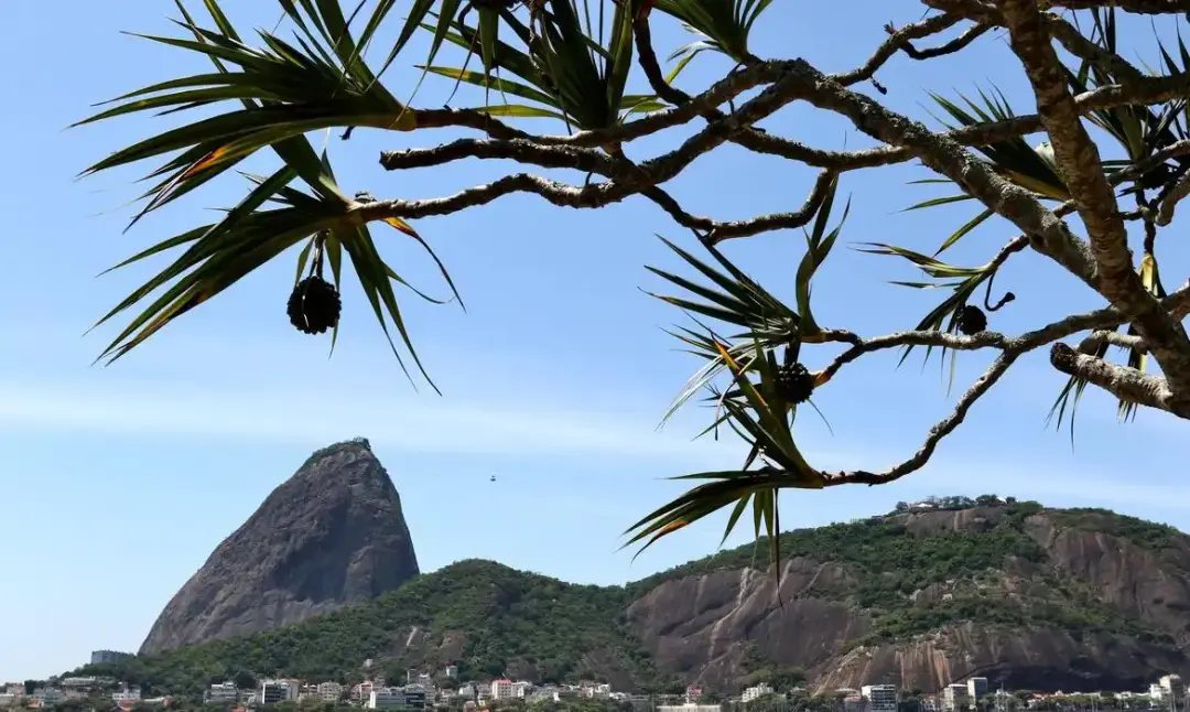 O Rio de Janeiro tinha um equilíbrio entre quem levava vantagem e quem era enganado. Quando todos decidiram ser malandr…