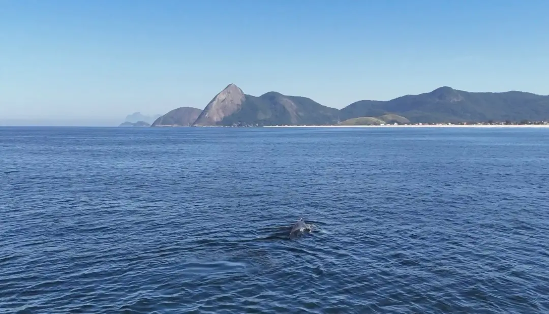 Ilhas Maricás: historiadores e geólogos investigam destroços de navios negreiros. A busca pelo Maltesa ou Piratinim mos…