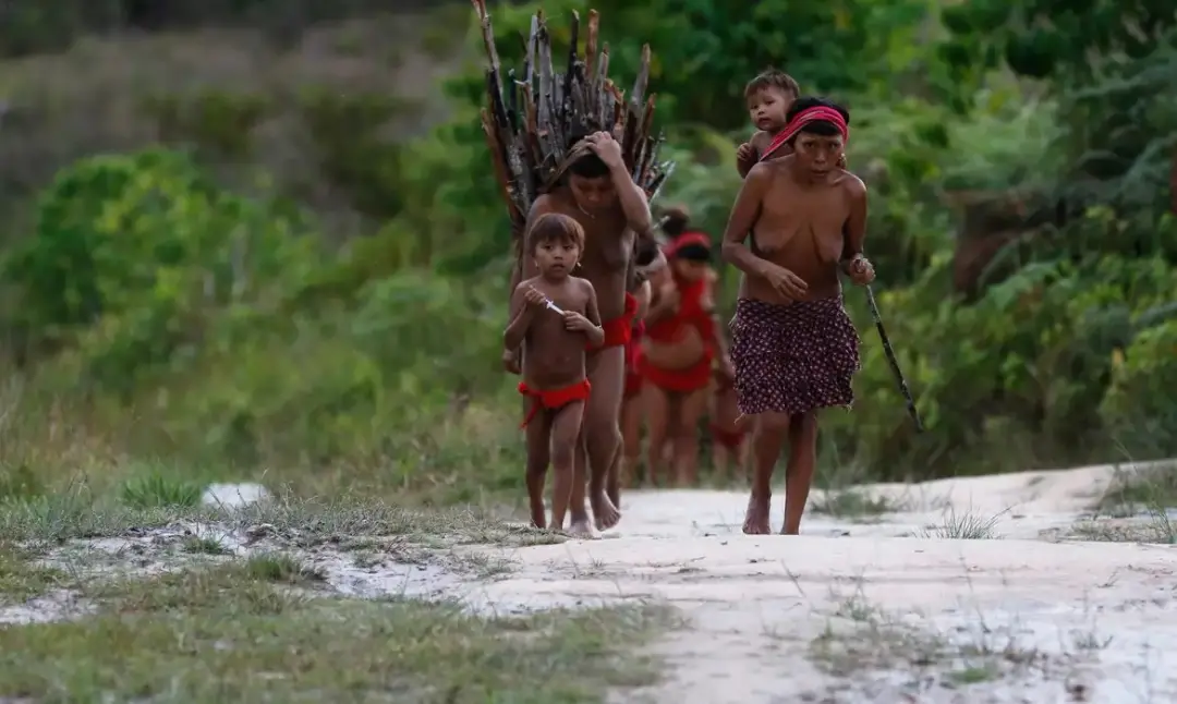 15,8 milhões de reais foram pagos a uma ONG ligada ao PT para coleta de lixo na Terra Yanomami. A complexidade da logís…