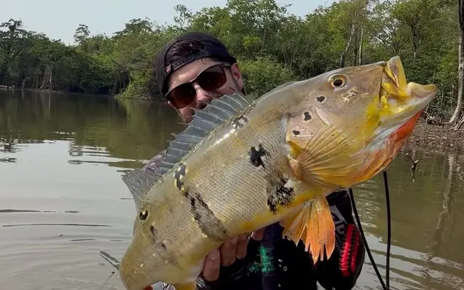 Thiago H. Fantini tirou um tucunaré de 76 centímetros no rio Camaiu, Amazonas. É um peixe raro, já que a média dele é d…