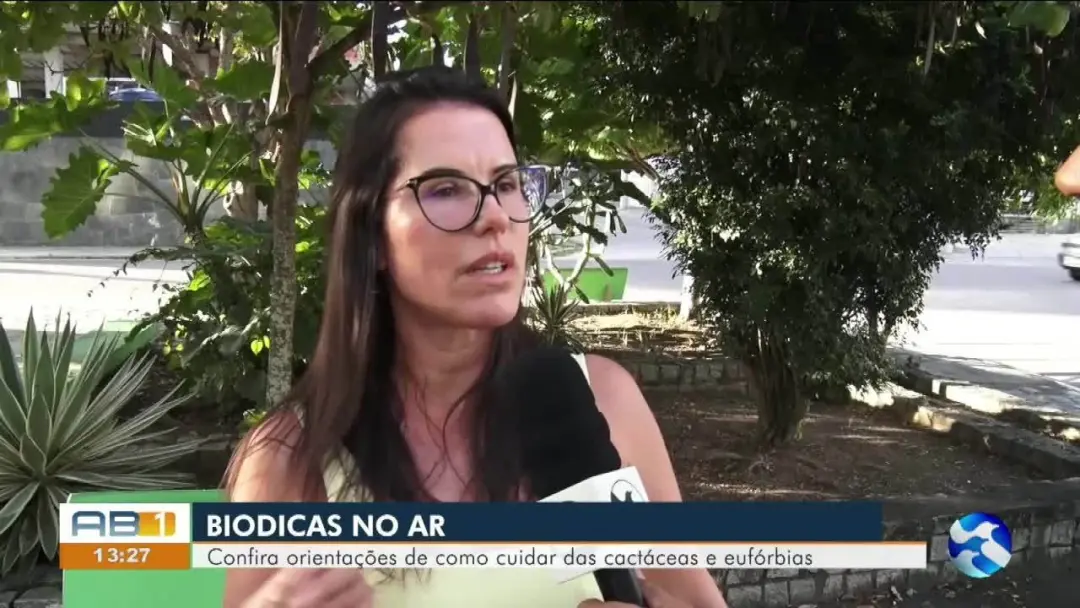 Notícias do interior de Pernambuco vieram no telejornal de sábado, dia 19 de setembro de 2026. O acompanhamento dessas …