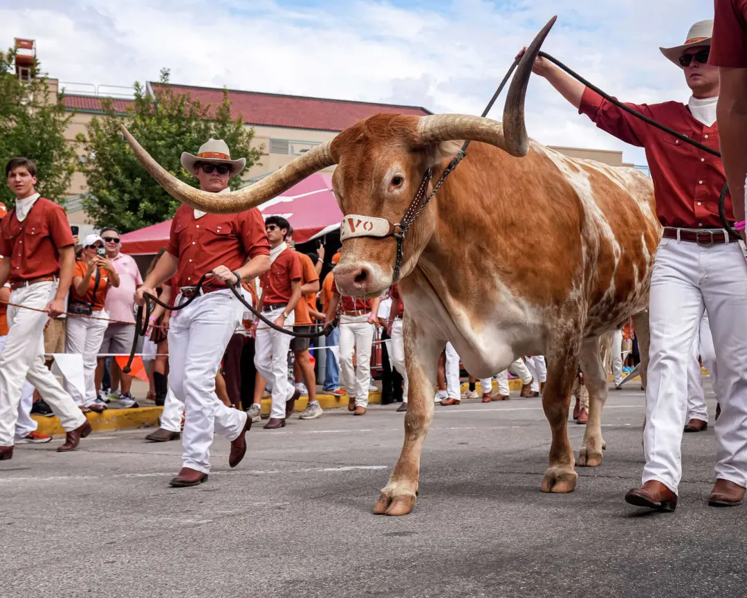 Texas Longhorns, número 1, encara UTSA neste jogo final antes da temporada SEC de 2026. Manter essa classificação depen…