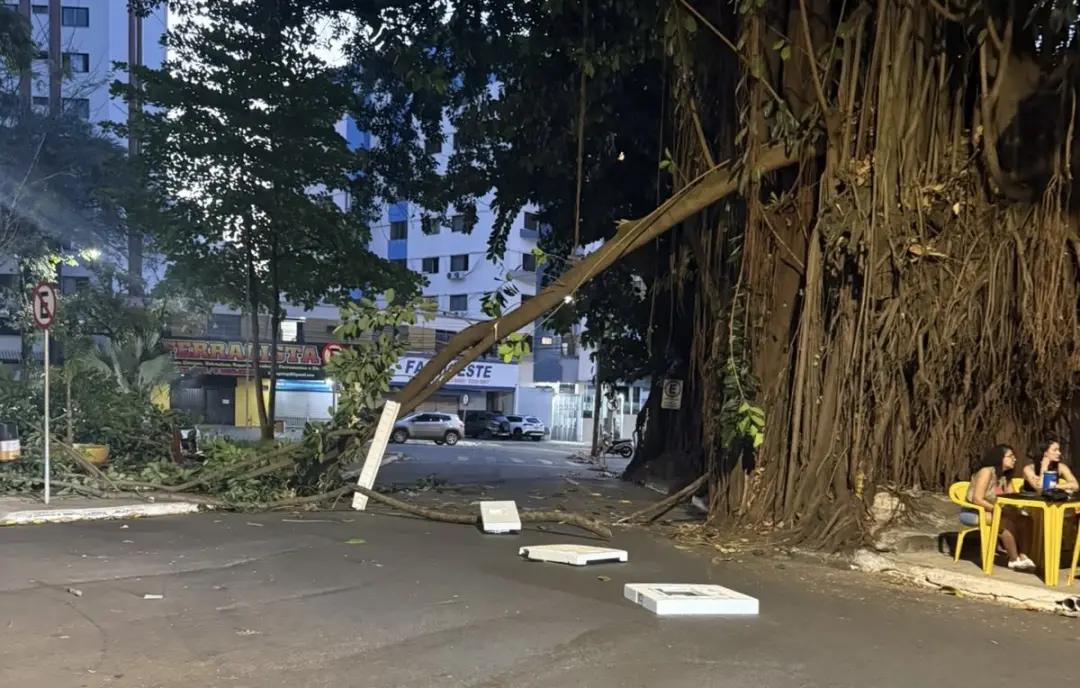 Praça da Cirrose, no Setor Oeste de Goiânia, um galho de gameleira caiu na noite de sábado e assustou quem estava por p…