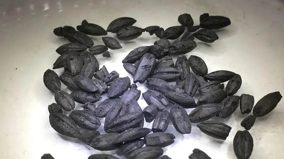 Hama, na Síria, tinha panelas diferentes para o preparo de alimentos há 4500 anos. A seleção do utensílio já era parte …