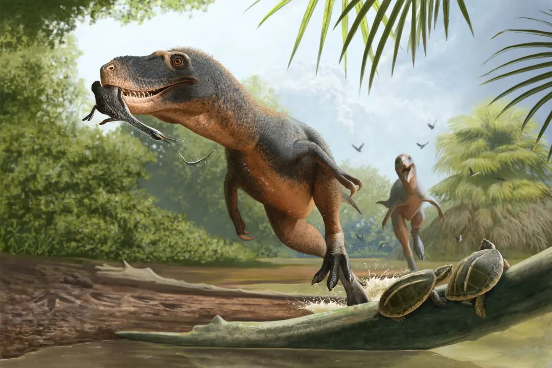 Pena preservada em cocô de dinossauro da Formação Hell Creek. Essa pena, encontrada em um fossil de fezes, mostra como …
