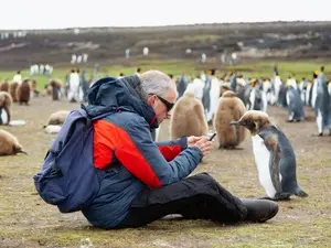 Malvinas, as ilhas, podem ser visitadas. Essa possibilidade me faz pensar na conexão entre a natureza preservada e a vo…