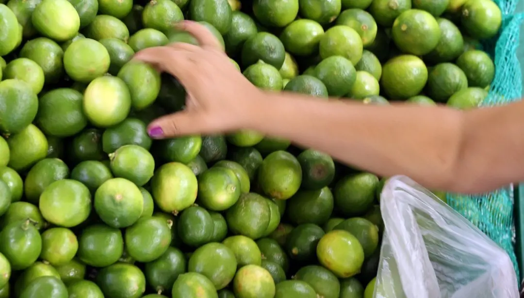 Índice de Preços de Alimentos subiu 1,9% em agosto, chegando a 133,3 pontos. O Brasil mostra força com 361,7 milhões de…
