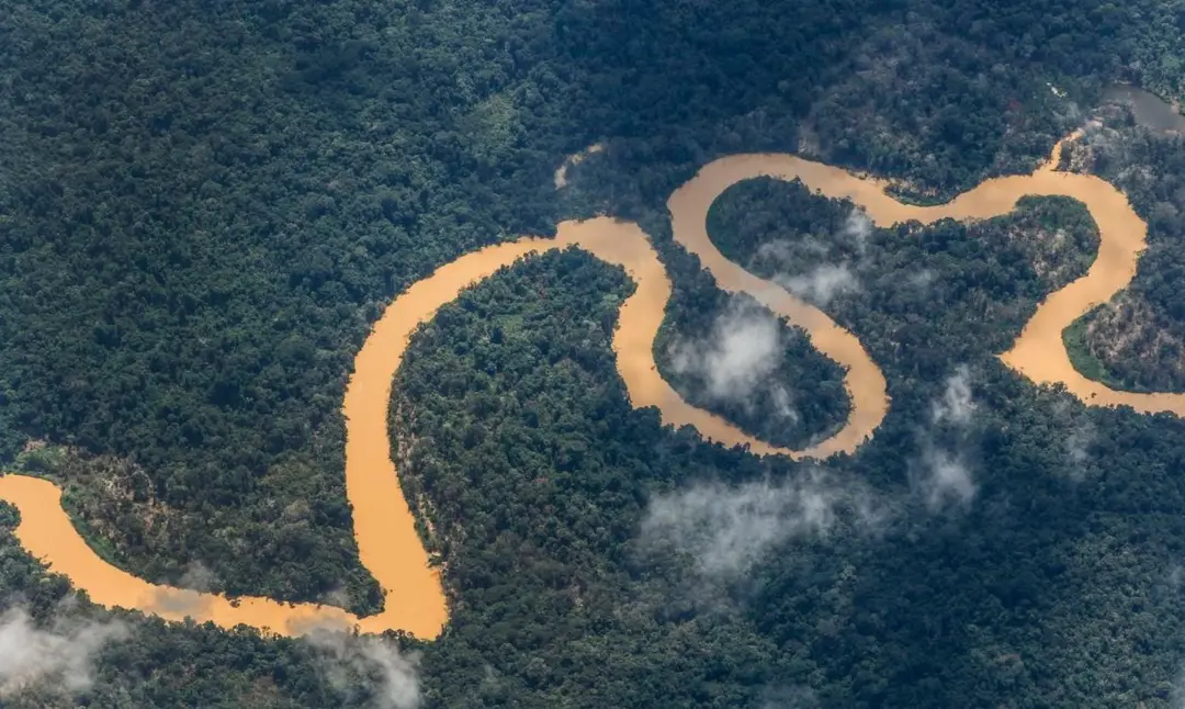 Temperatura máxima na Amazônia central-norte aumentou 3,2 graus Celsius na estação seca desde 1981. O ritmo é mais rápi…