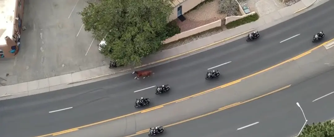 Cavalo fugiu antes do desfile em Santa Fé, Novo México, mobilizando policiais. A perseguição terminou na Canyon Road e …