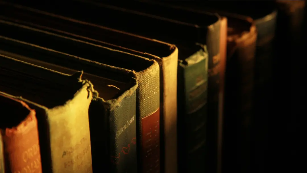 Sete séries de suspense foram selecionadas para leitura em um final de semana. O gênero evoluiu de espionagem para tram…