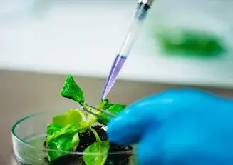 Nova linha de bioestimulantes à base de algas marinhas entrou no mercado do agronegócio brasileiro. O crescimento do me…