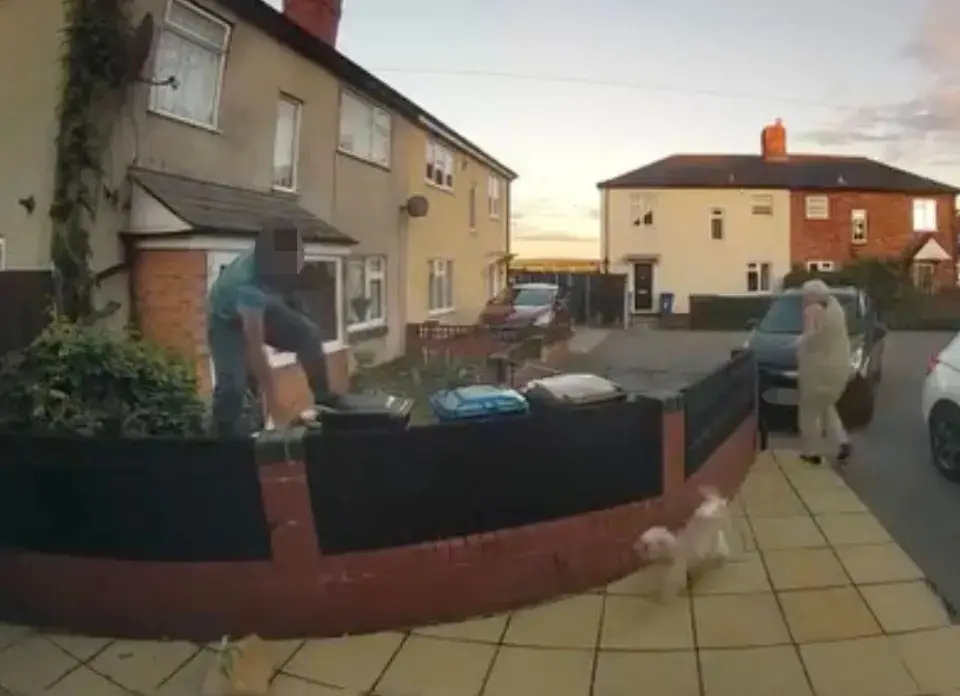 Entregador em Lichfield, na Inglaterra, subiu em lixeiras para fugir de dois cachorros depois que eles escaparam pelo p…