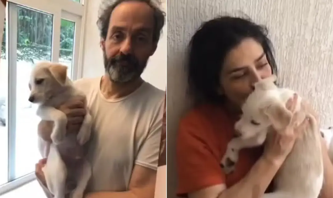 Justiça mantém Bertholdo com Letícia Sabatella e Daniel Dantas, negando os pedidos de urgência de Juliana da Luz Rodrig…