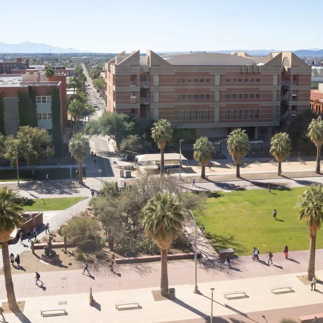 University of Arizona suspendeu as atividades de fraternidades após relatos de assalto, uso de drogas e festas perigosa…