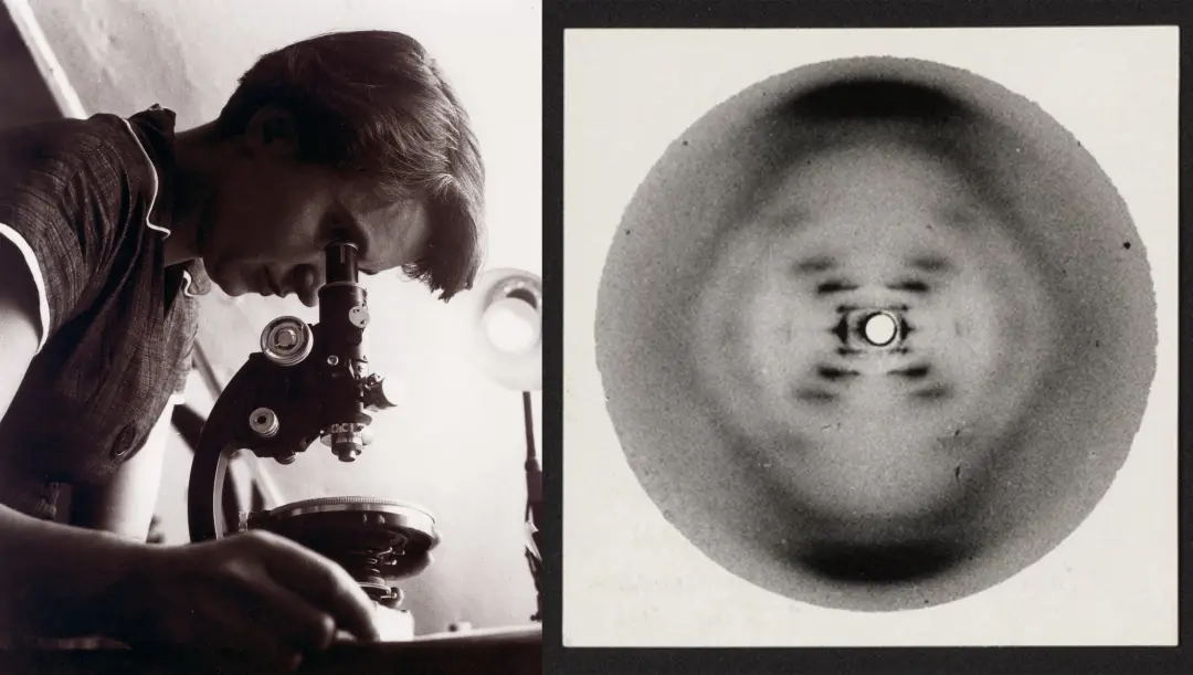 Rosalind Franklin tinha uma foto de ADN, que James Watson viu no King’s College de Londres. O impacto dessa imagem muda…