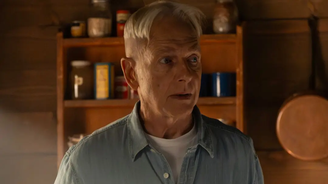 Mark Harmon volta para NCIS Origins temporada 3, mas a volta dele parece marcar o fim da prequela. A história continua …