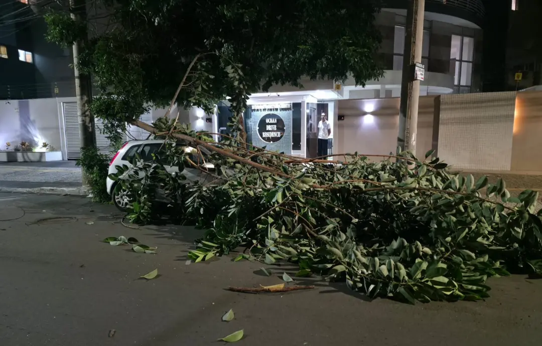 Praça da Cirrose, Goiânia, teve carro atingido por um pedaço de árvore nesta terça. A prefeitura teria laudo de árvores…