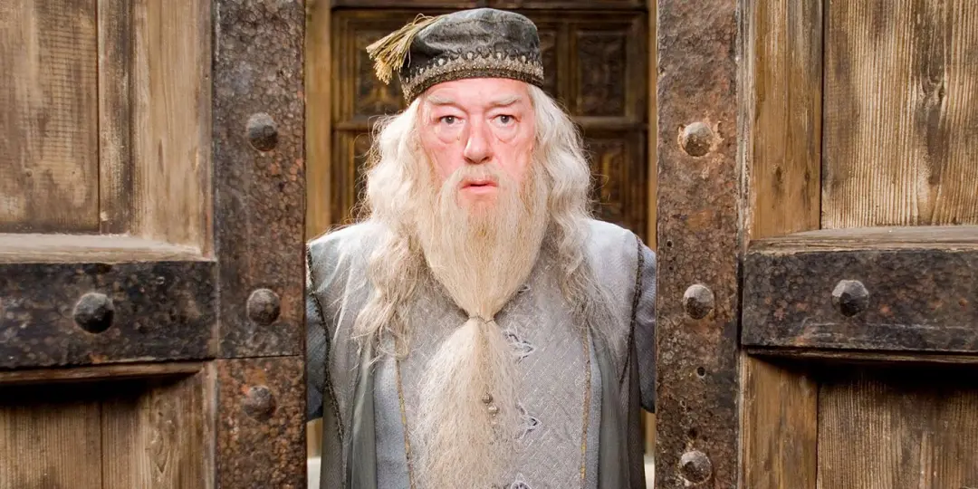 Harry Potter passa para duas grandes plataformas de streaming na vinda da adaptação da HBO. A franquia gerou mais de 7,…