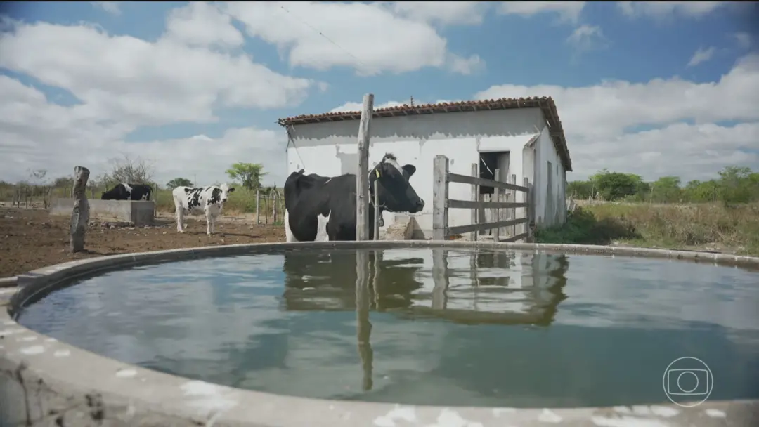 29 reservatórios em colapso em Pernambuco ameaçam a produção leiteira do Agreste. A seca, potencializada pelo El Niño, …