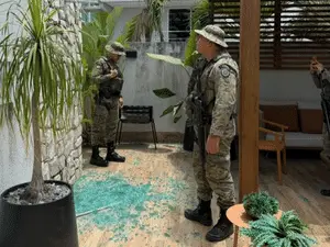 Salvador registrou casos de macaco-prego invadindo casas e ingerindo álcool e remédios, causando feridos. É um sinal pe…