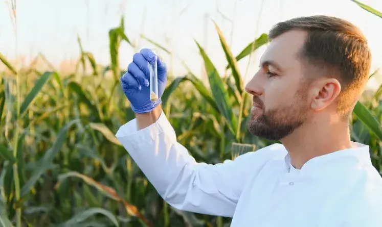 Acadian lançou um bioativador com alga marinha para o agronegócio. Esse tipo de composto ajuda as plantas em seca e cal…
