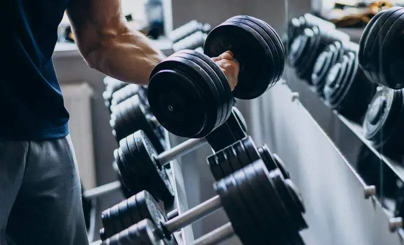 Sete dias de musculação já mexem na gordura visceral de camundongos obesos, sem que a balança mude. Isso mostra que o c…