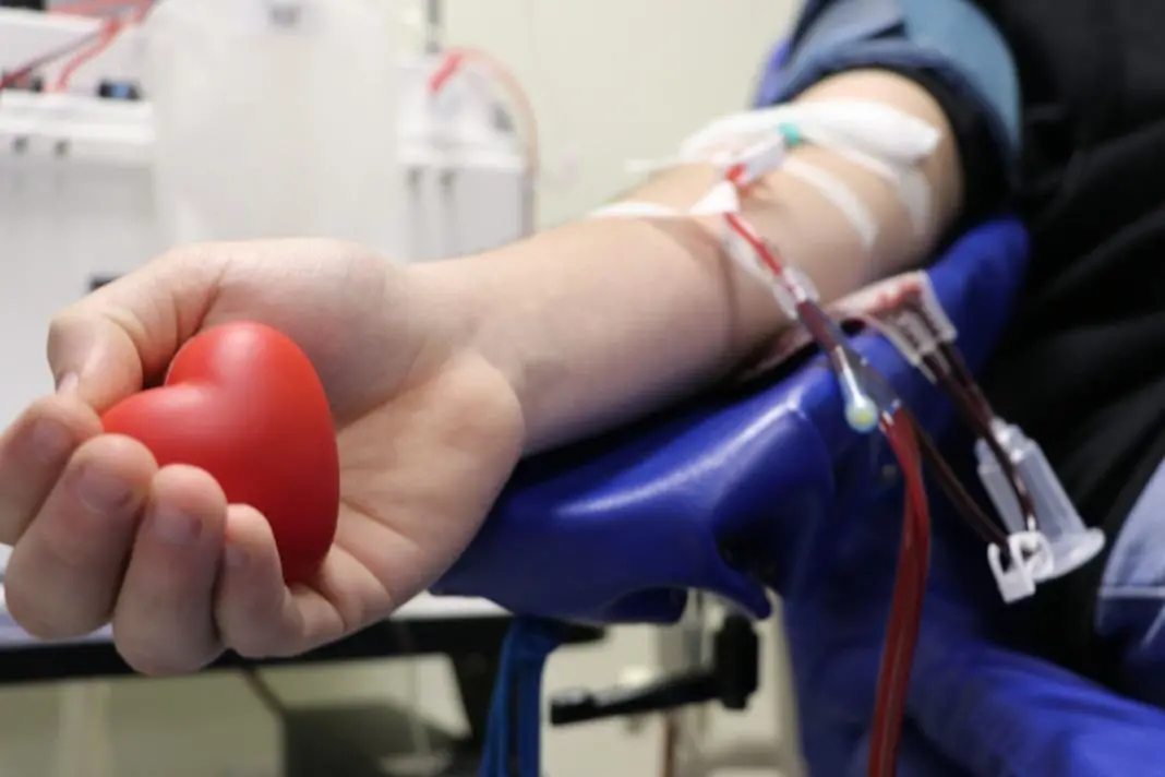 Campanha de doação de sangue acontece na sede do Cremerj em Botafogo nesta quarta, das 10h às 15h. É um gesto simples, …