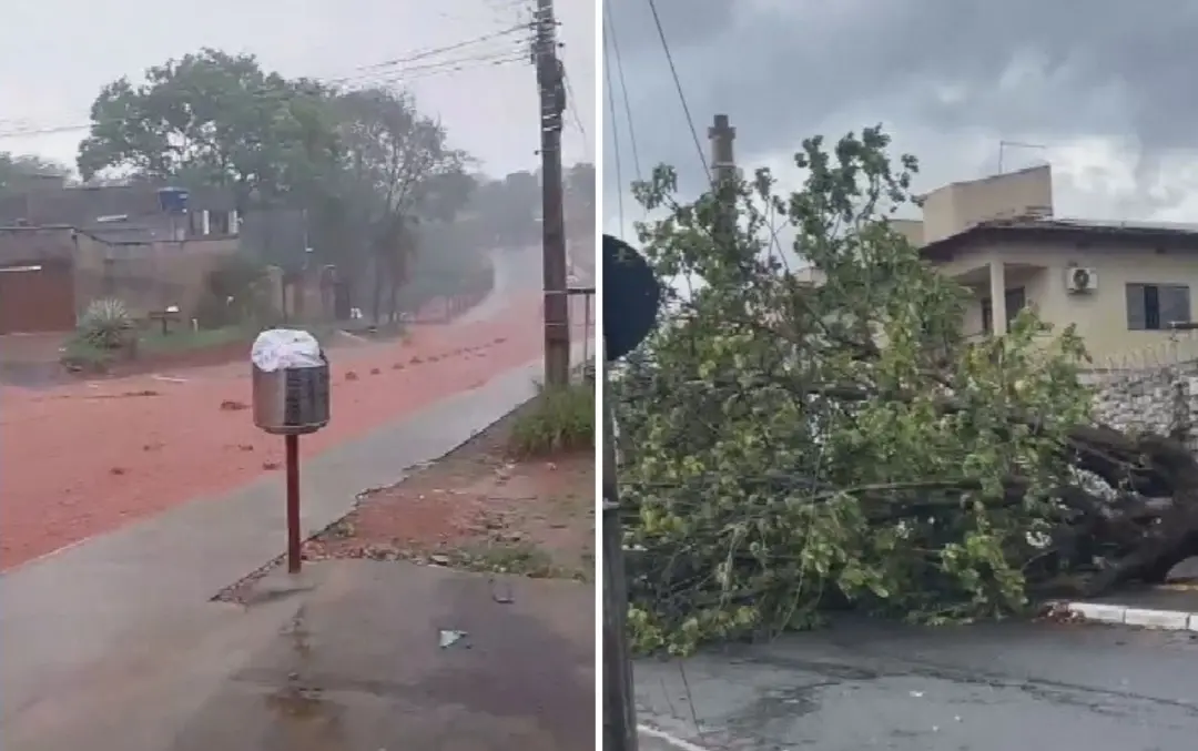 Fortes chuvas arrancaram árvores e causaram estragos em Goiânia, com rajadas de 49 km/h. A força do temporal destrói es…