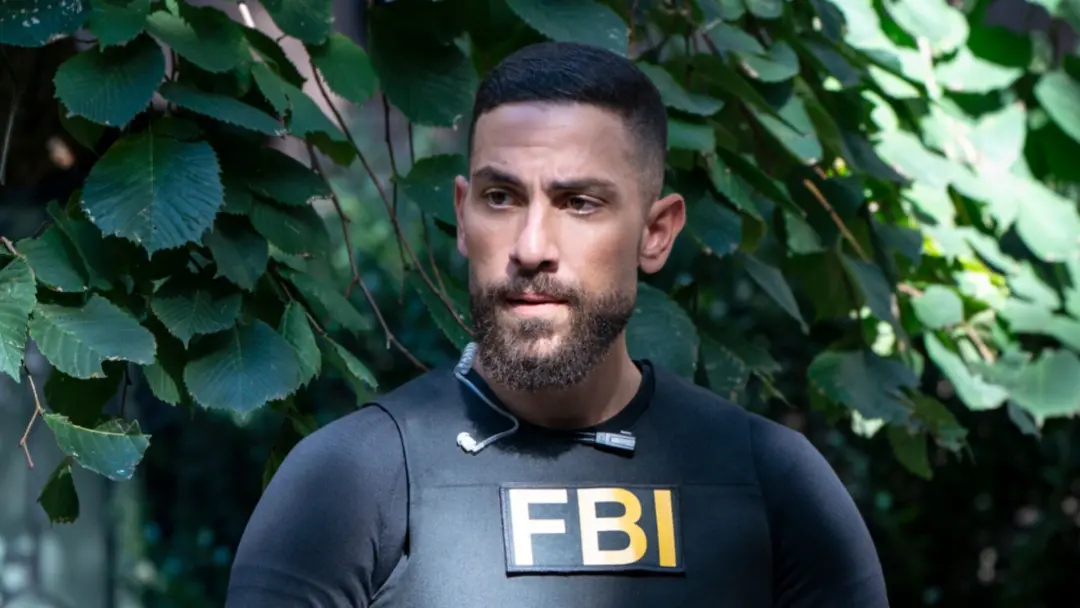 CBS confirmou que o romance de OA e Maggie com o FBI vai rolar na temporada 9 de SX2. Acho que isso traz um tempero leg…