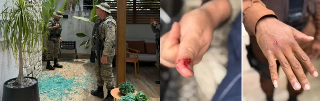 Salvador, Bahia, teve um macaco-prego quebrou vidro e invadiu um apartamento onde havia um bebê de cinco dias. O animal…