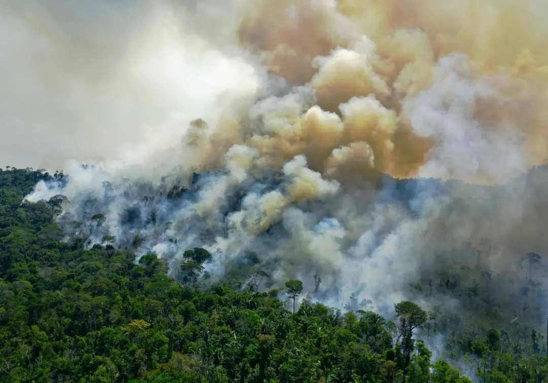 Sete em cada dez parlamentares do novo Congresso se posicionam contra a pauta ambiental. Isso reforça a flexibilização …