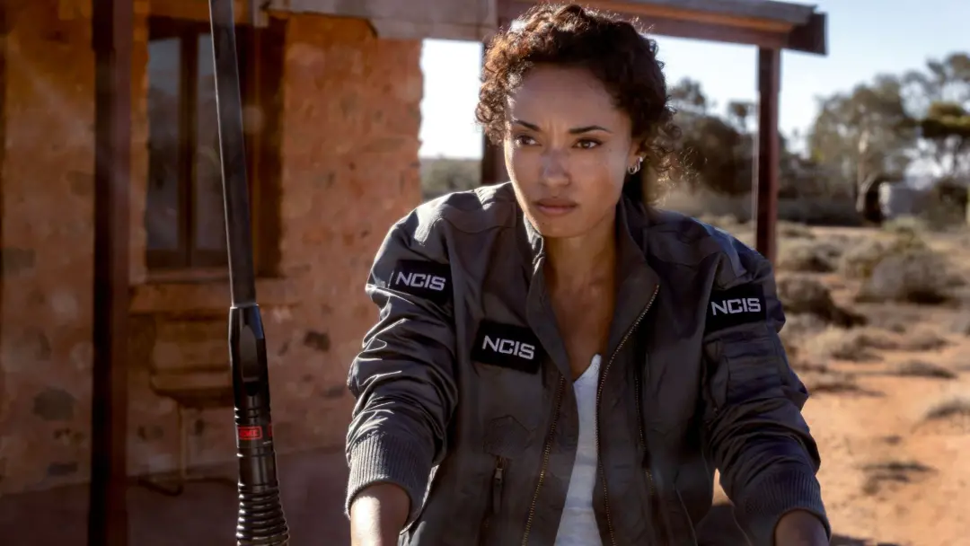 NCIS: Sydney não entra na volta da franquia, mas a temporada 24 será o show mais longo. A franquia continua forte depoi…