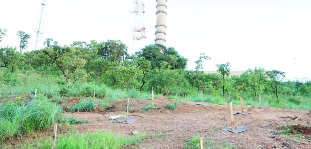 R$ 14,4 milhões para revitalizar o Parque da Serrinha em Goiânia. É importante que espaços públicos como esse recebam i…