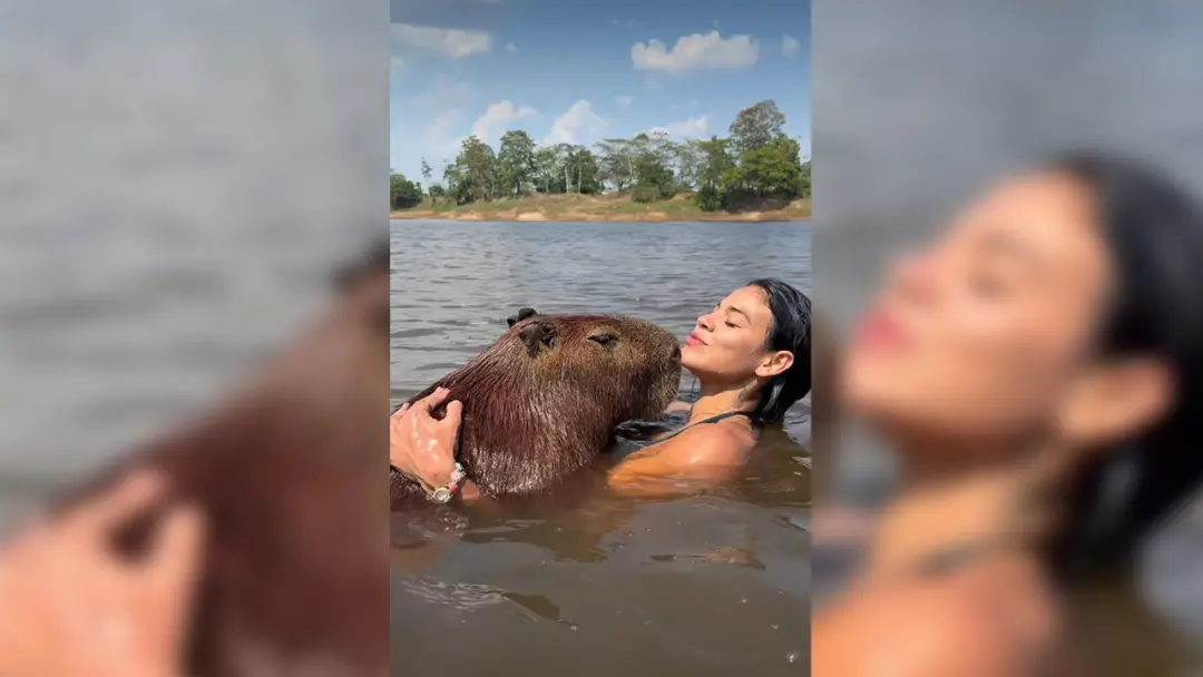 Influencer em Pará interage muito próxima com capivara, entrando em lago e abraçando o animal. Essa cena, que parece só…