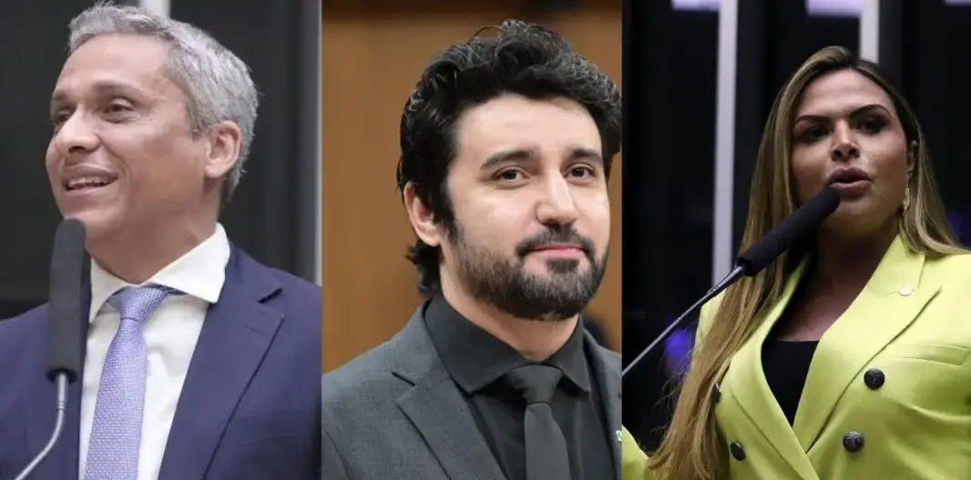 Em Goiás, cinco candidatos como Gustavo Gayer e Silvye Alves ganharam destaque nas eleições com a força da internet. É …