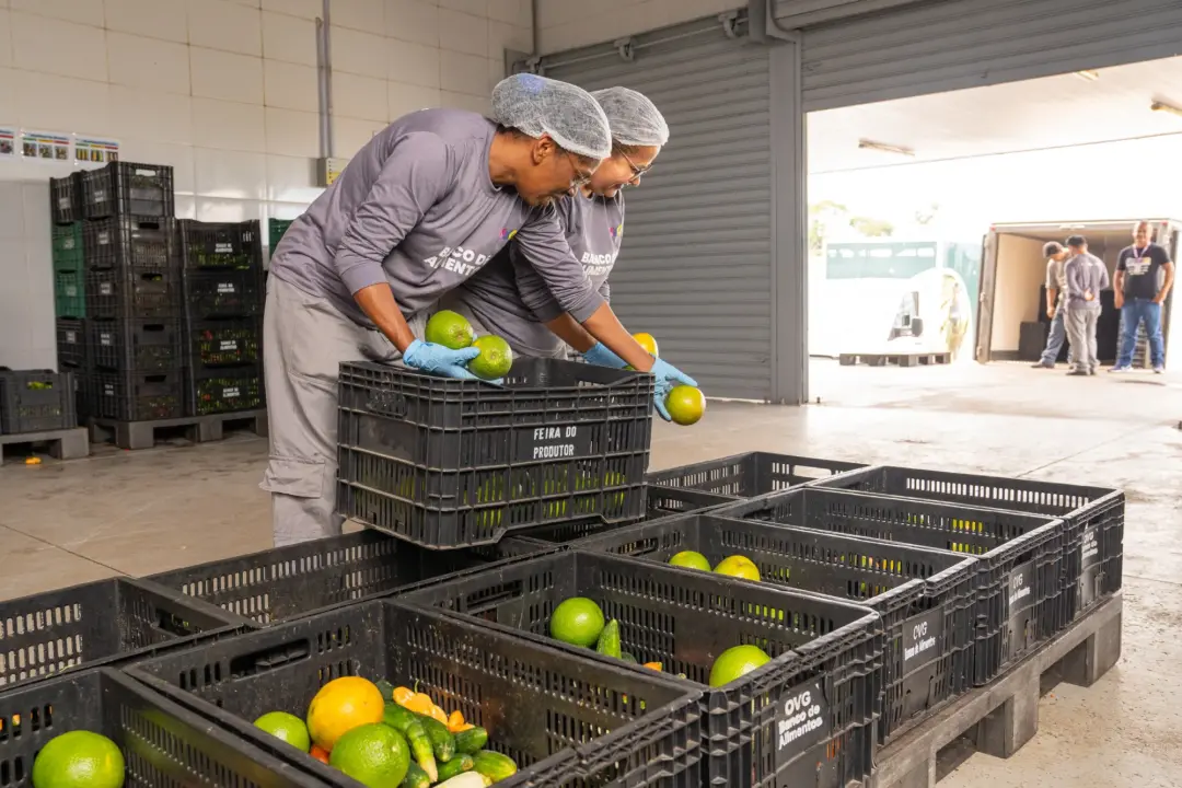 Banco de Alimentos da OVG orienta famílias para cadastro semanal de alimentos in natura em Goiânia. É um apoio real pra…