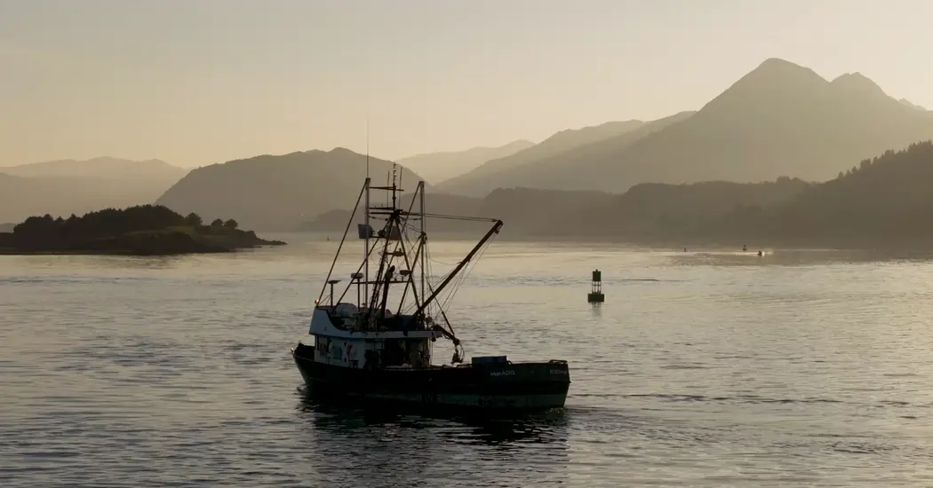 Declínio das pescarias no Alasca ameaça as eleições para senado e governador. A questão ambiental mais grave, a mudança…