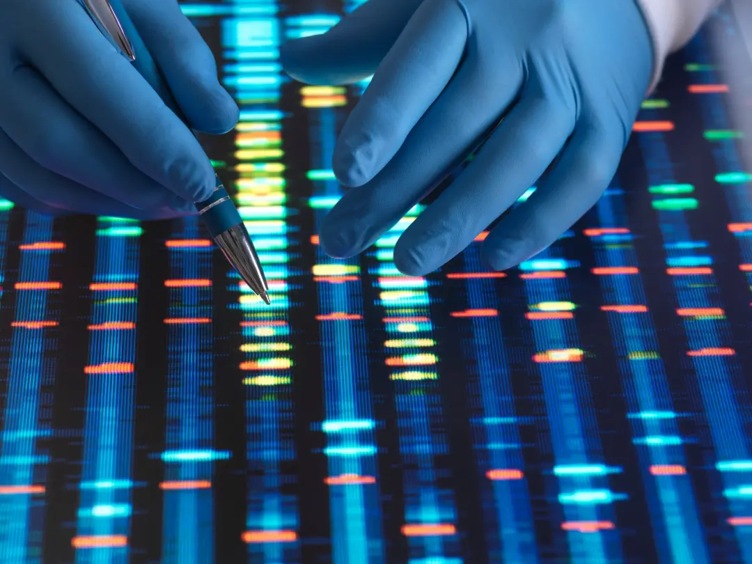 Comissão Europeia anunciou 65 milhões de euros pra manter bases de dados de pesquisa biomédica. A paralisação de projet…