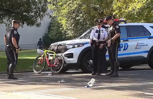 No Central Park, em Nova York, um ciclista de 71 anos morreu após colidir com um cachorro solto na East Drive. A regra …
