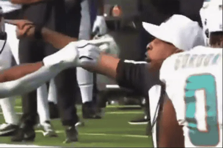 Jeff Seeman e Adrian Hill foram suspensos pela NFL por conduta antiprofissional durante jogos. O incidente com Seeman e…