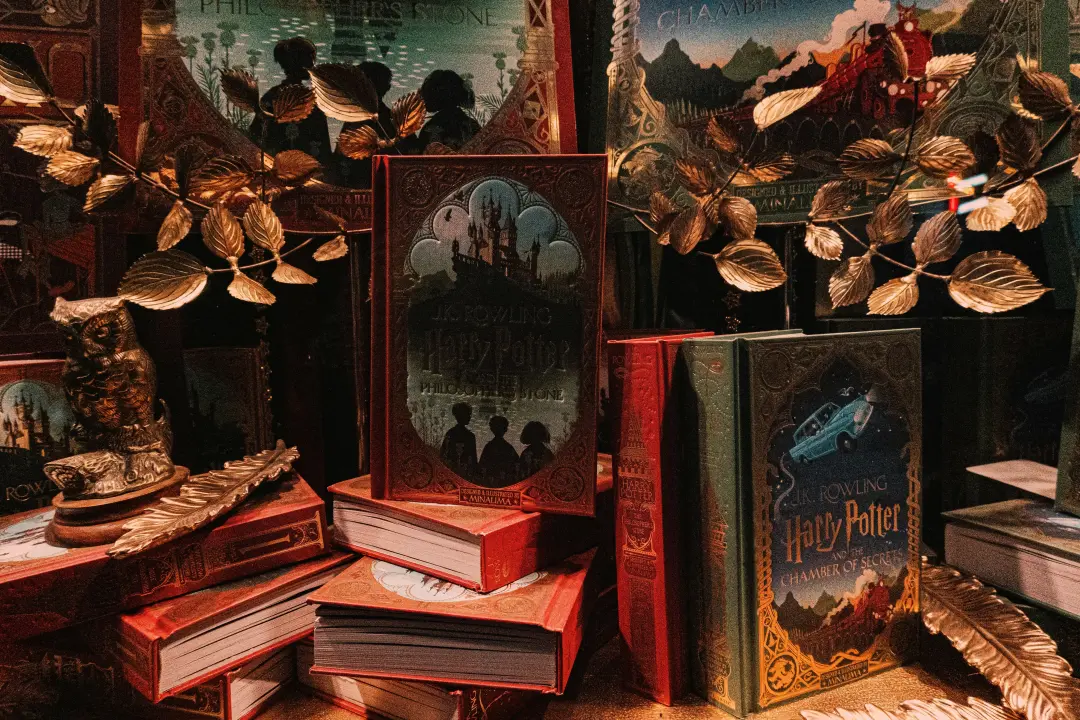 Dez livros de academia de fantasia trazem aquela nostalgia de Harry Potter. Curto a ideia de escolas mágicas com segred…