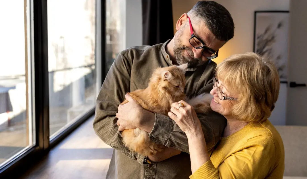93 países analisados indicam que maior presença de gatos se associa a índices de felicidade mais altos. Acredito que es…