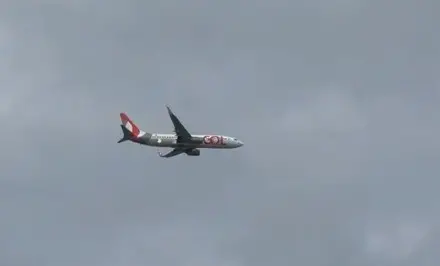 Voo da Gol de Recife para São Paulo teve retorno ao aeroporto porque uma turbina foi atingida por pássaro logo após dec…