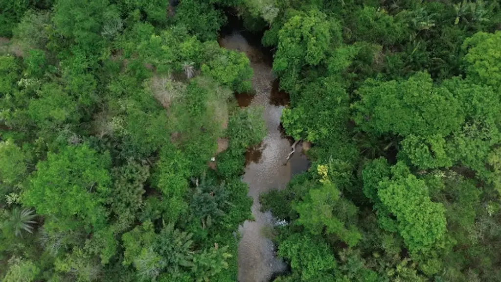 Resultado das urnas em 2026 mostra Flávio Bolsonaro vencendo em quatro dos sete estados da região Norte. A direita avan…