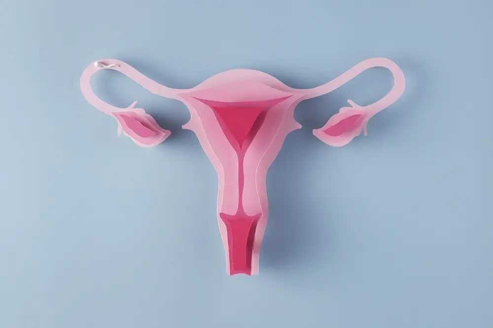 Estudo de Yale aponta que níveis altos de IL-16 ligam a intensidade da dor na endometriose. Entender essa molécula ajud…