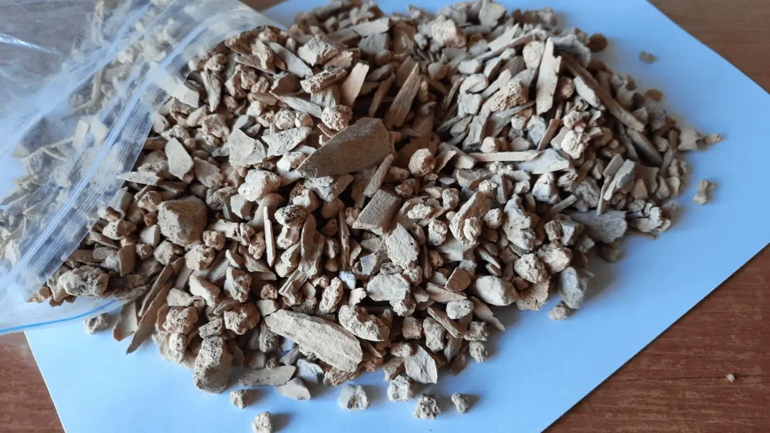Siberia, uma espécie de boi extinta do período glacial foi encontrada em uma caverna, com genomas de até 200 mil anos. …