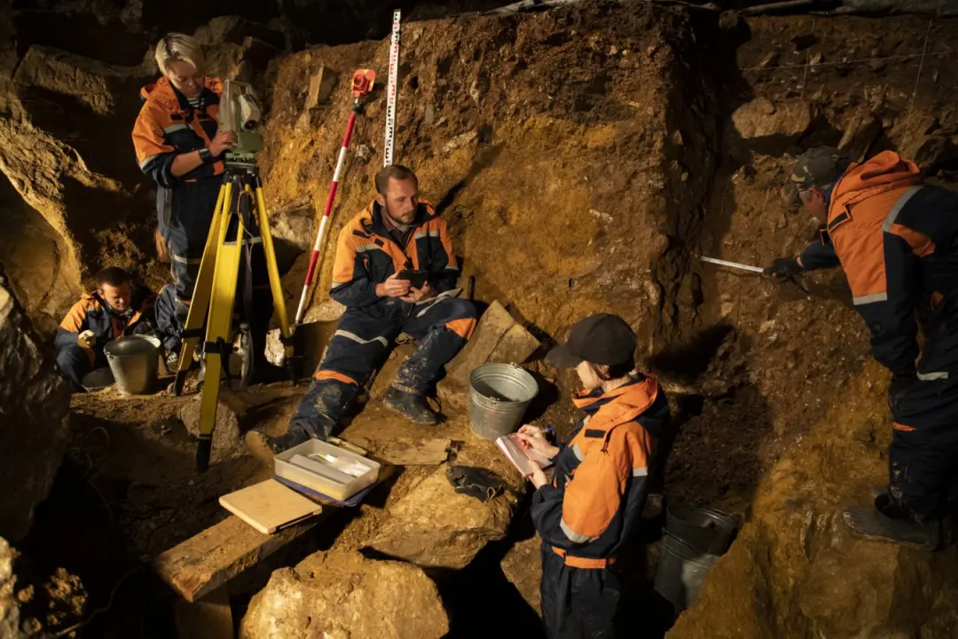 Denisova cave revelou uma espécie de bovino extinto, o yak X, que viveu há cerca de 400 mil anos. É um achado grande, m…