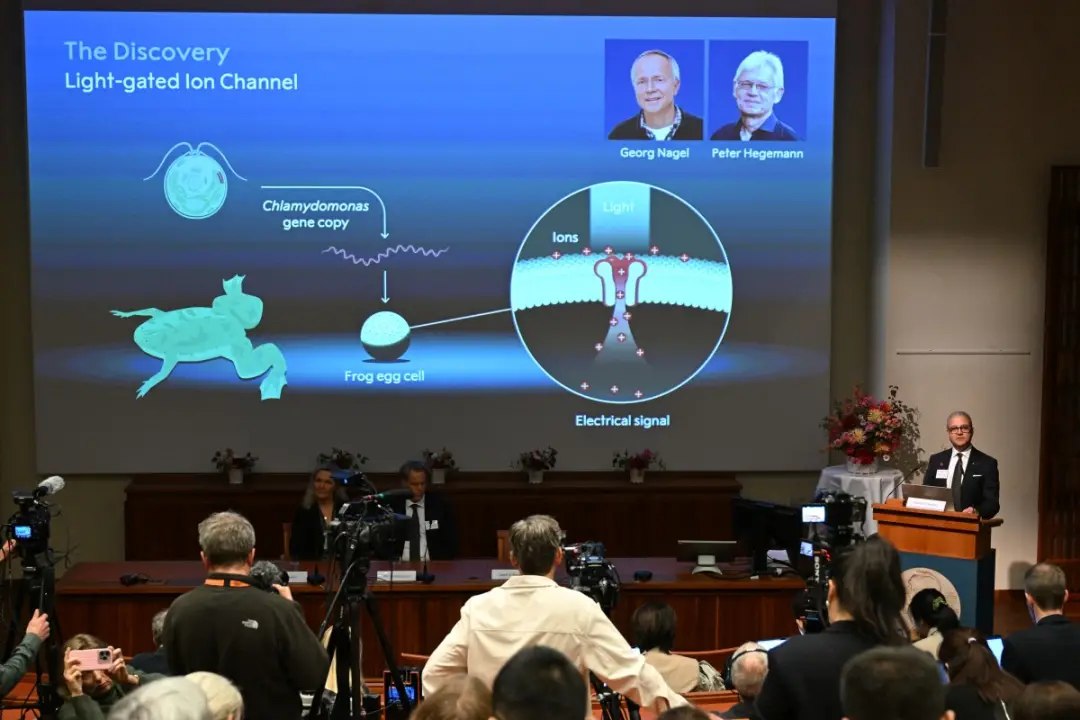 Nobel de Medicina de 2026 premiou Karl Deisseroth e colegas alemães pelo avanço na optogenética. Esse método mostra com…