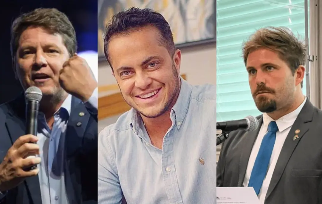 Ana Elisa, influenciadora, foi eleita deputada federal por Minas Gerais com mais de 500 mil votos. A transformação de e…